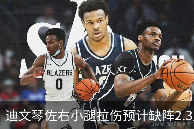 迪文琴佐右小腿拉伤预计缺阵2.3周，复出待评估
